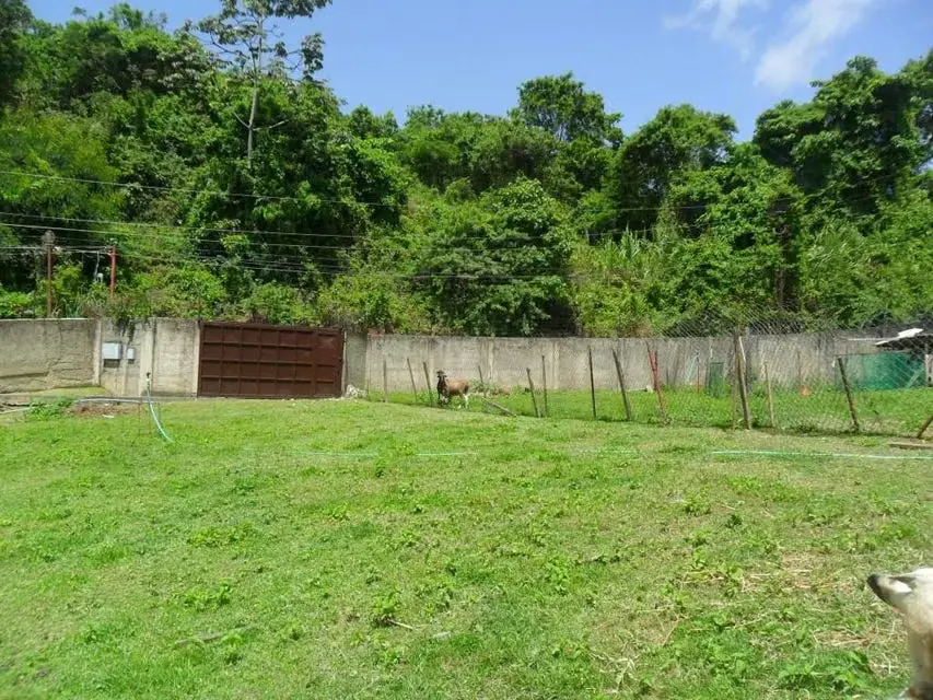 Terreno (Comercial) en Venta en La Union, Distrito Metropolitano - 3