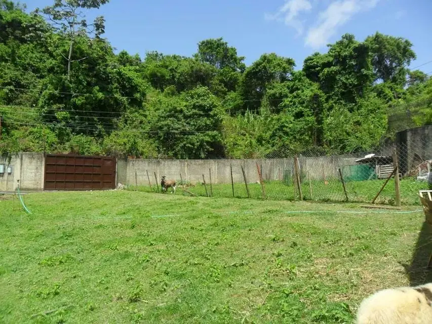 Terreno (Comercial) en Venta en La Union, Distrito Metropolitano - 4