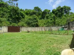 View 4