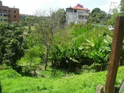 View 7