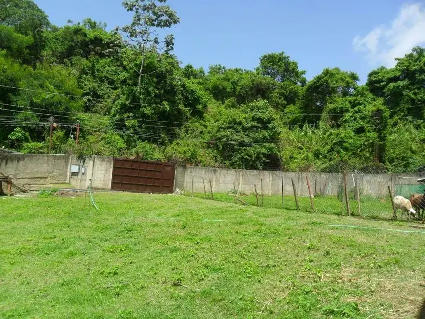 Terreno (Comercial) en Venta en La Union, Distrito Metropolitano - 9