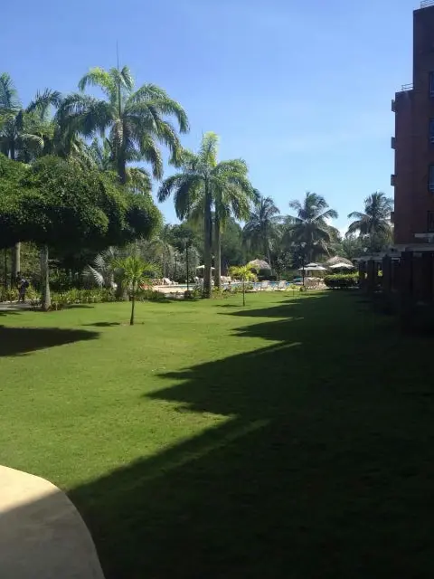 Apartamento (Planta Baja) en Venta en Los Canales de Rio Chico, Miranda - 4