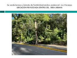 Vista 11