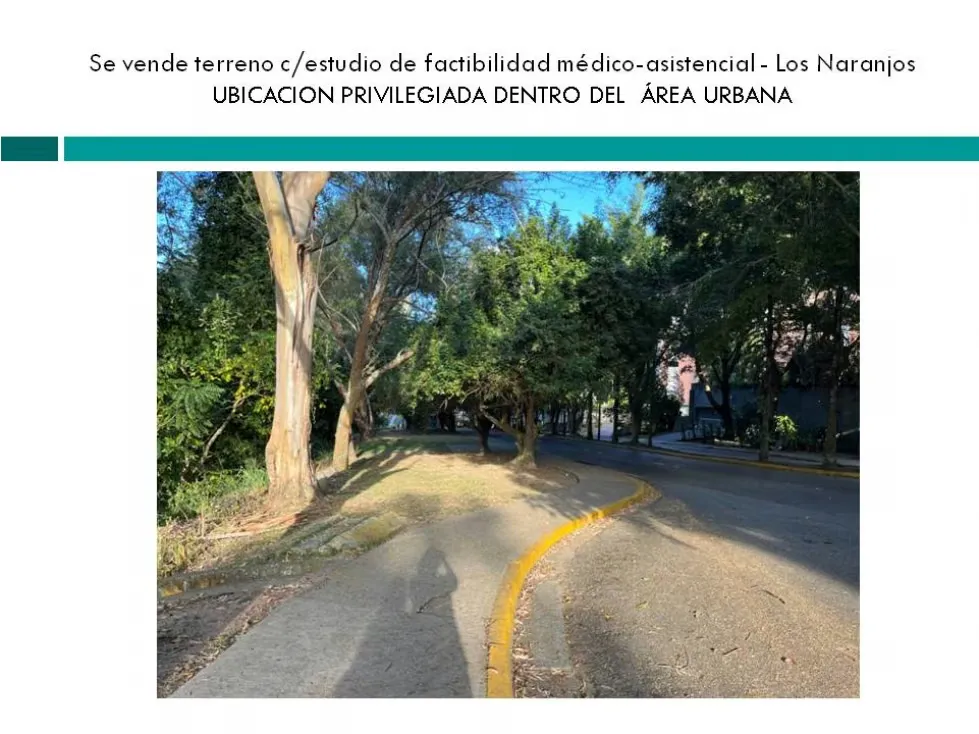 Se vende terreno uso asistencial 10.529m2 Los Naranjos 2203 - 12
