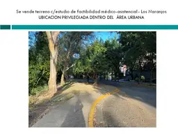 Vista 12