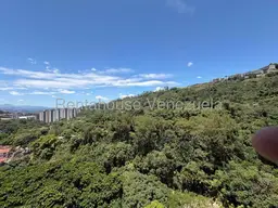 View 38
