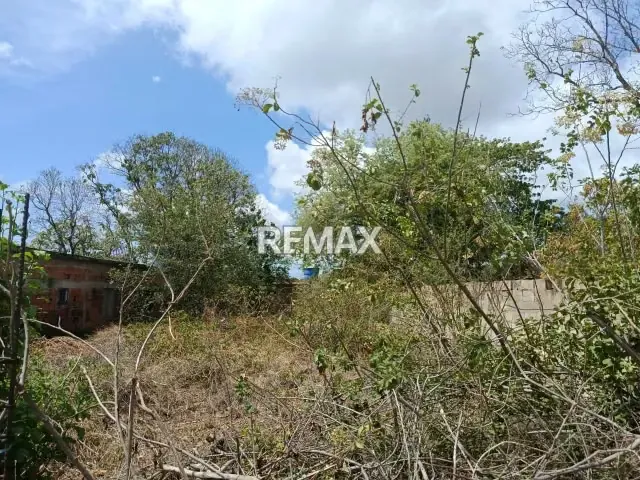 Terreno en Venta - Calle Bellomonte - 3