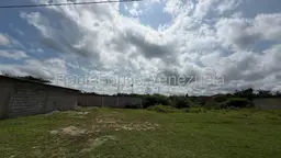 View 10