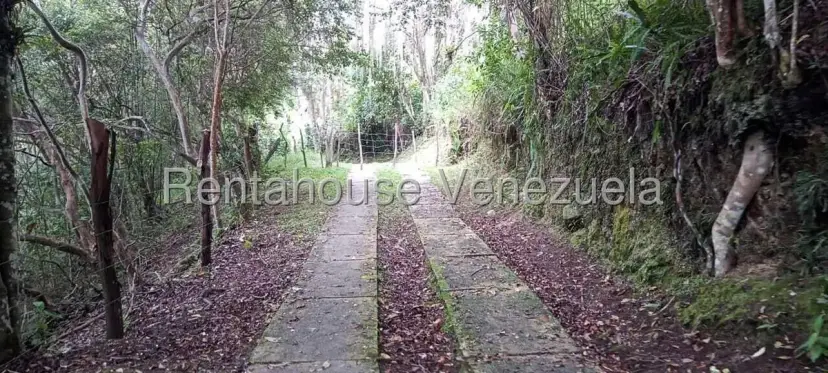 Terreno (Finca) en Venta en El Valle, Merida