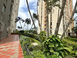 Vista 25