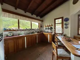 Vista 31