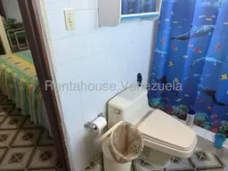 Vista 25