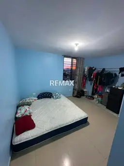 Vista 11