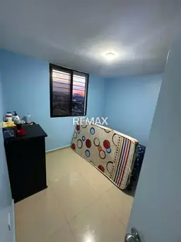 Vista 5