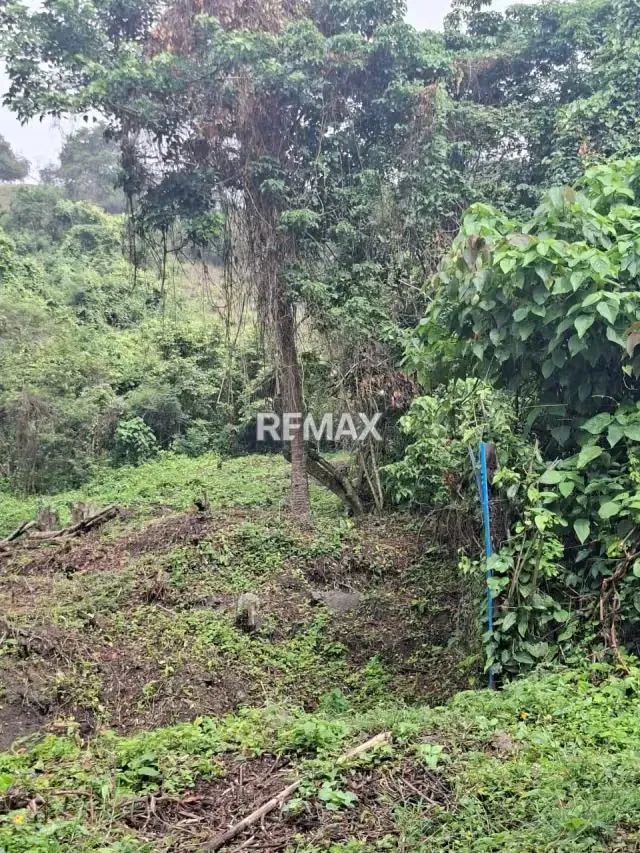 Se vende terrreno en silgara - 2