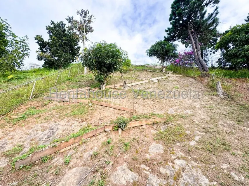 Casa (Multipes Niveles) en Venta en Los Naranjos del Cafetal, Distrito Metropolitano - 26