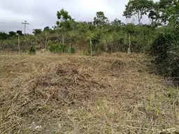 Vista 12
