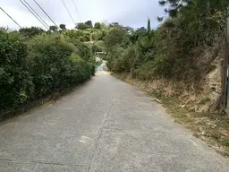 Vista 20