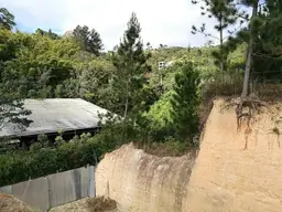Vista 4