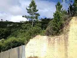 Vista 5