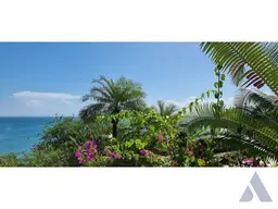 Vista 3
