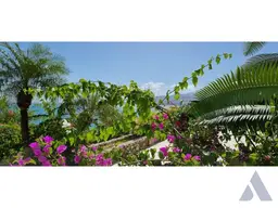 Vista 5