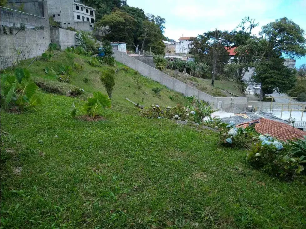 Vendo casa c/terreno (inversión) 1500m2 El Junquito 5369 - 2