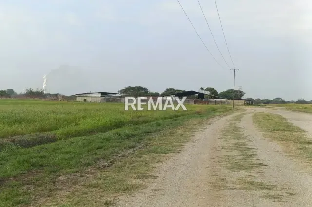 Tu Finca de 140 Hectareas en la Ciudad - 6