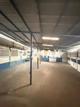 Vista 6