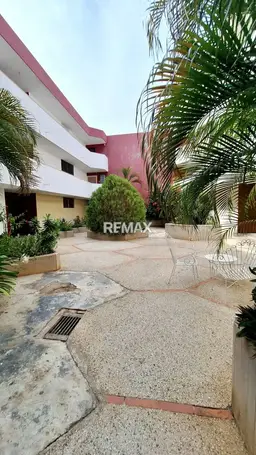 Vista 5