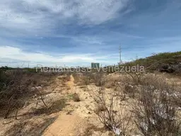 View 14