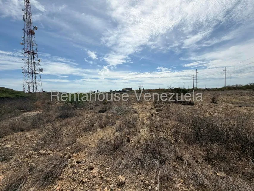 Terreno (Comercial) en Venta en Dona Emilia, Falcon - 15