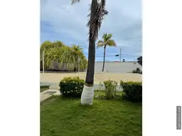 Vista 19