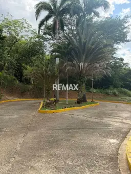View 7