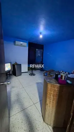 Vista 5
