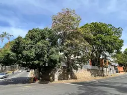 View 1