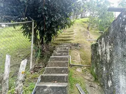 Vista 25
