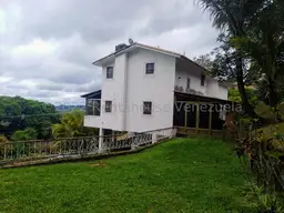 Vista 29