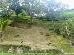 Vista 32