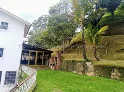 Vista 33