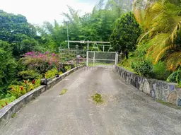 Vista 39