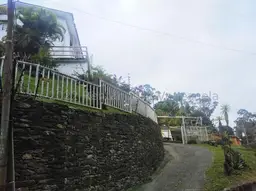 Vista 41