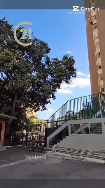 Vista 3